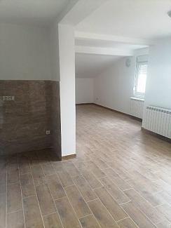 STAN LEDINE 113850e